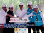 Penyuluhan Iklim dan Lingkungan: Jokowi Mengawali Peluncuran Proyek PLTS 50 MW PLN untuk Menerapkan Go Green