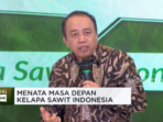 Pemerintah Dinilai Tidak Membela Petani Sawit dengan Kebijakannya