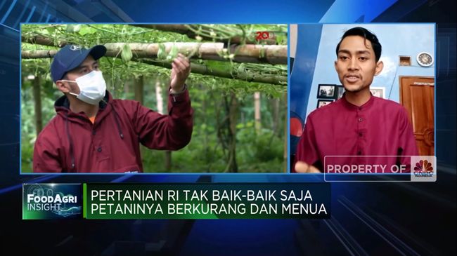 Hambatan yang Menghalangi Jokowi dalam Mendorong Generasi Milenial Menjadi Petani