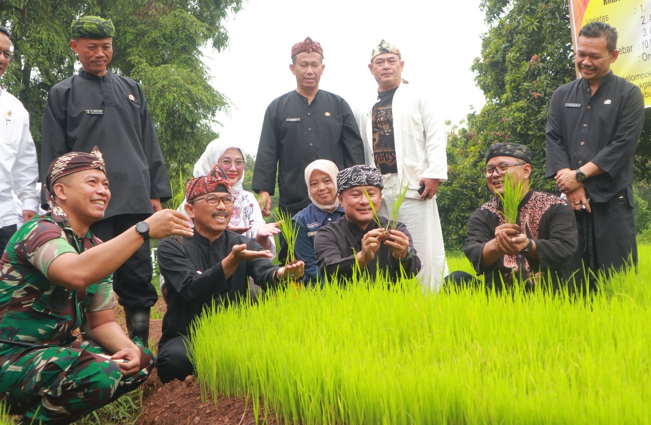 Diskatan Gelar Tanam dan Panen Raya Padi Serentak di Cigarukgak untuk Mewujudkan Ketahanan Pangan