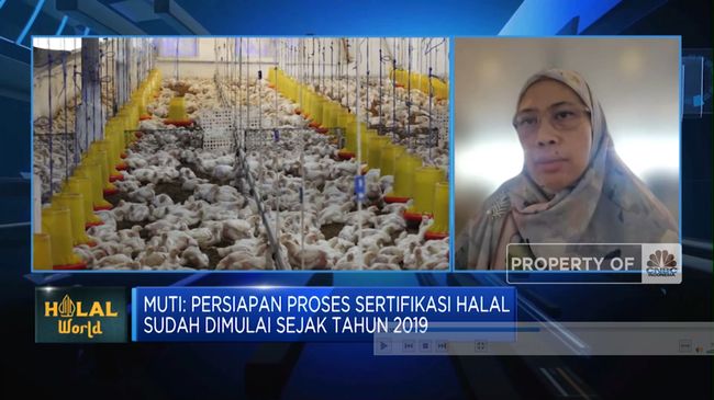 Sanksi Bagi Rumah Potong Hewan yang Tidak Memiliki Sertifikasi Halal