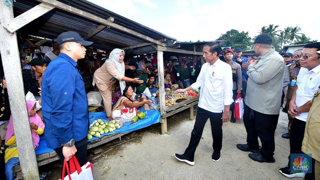 Jokowi Senang Menemukan Beras Selama Blusukan di Pasar Sultra