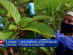 Video: Tata Kelola Kratom dan Konflik Militer antara China dan Filipina di LCS