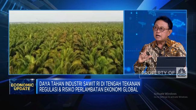 Ini Alasan GAPKI Mengusulkan Pembentukan Kebun Sawit Khusus untuk Program Biodiesel