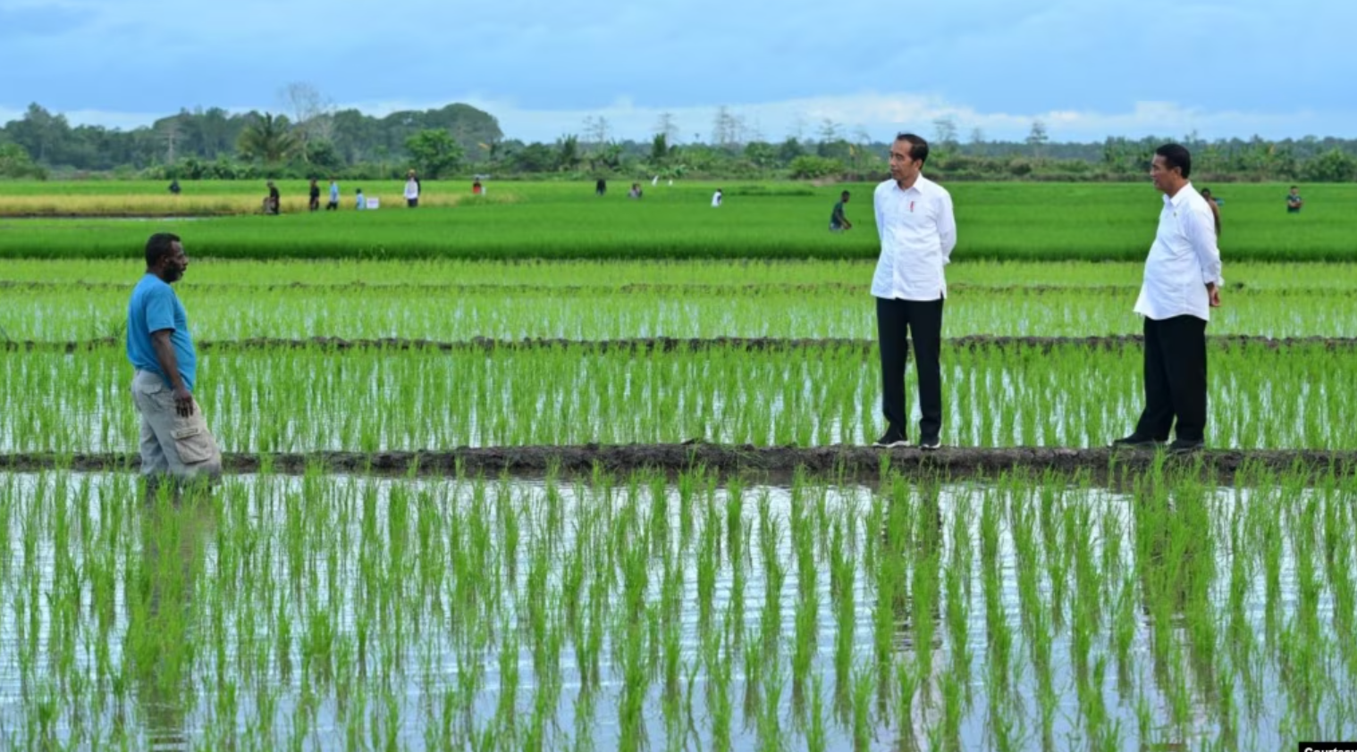 Aktivis Papua Mendesak Untuk Menghentikan Proyek Pertanian Satu Juta Hektar di Merauke