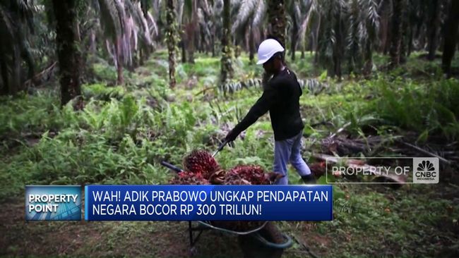 Adik Prabowo Mengungkap Kerugian Negara Rp 300 Triliun karena Kebocoran Pendapatan